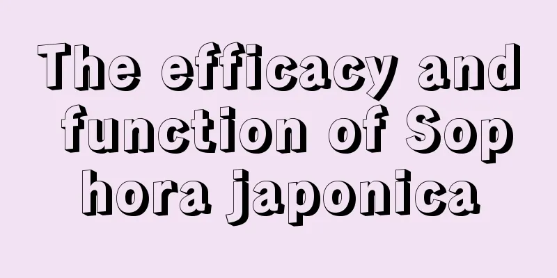 The efficacy and function of Sophora japonica