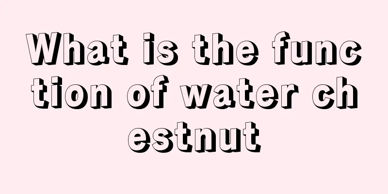 What is the function of water chestnut