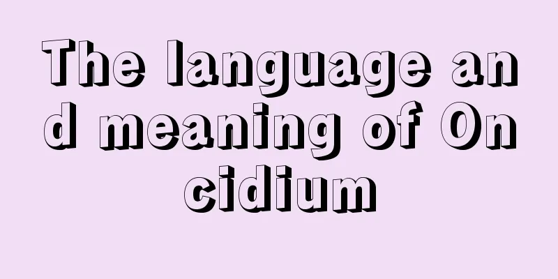 The language and meaning of Oncidium