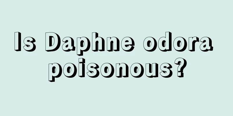 Is Daphne odora poisonous?