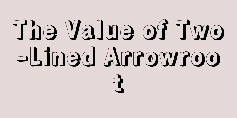 The Value of Two-Lined Arrowroot