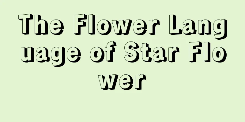 The Flower Language of Star Flower