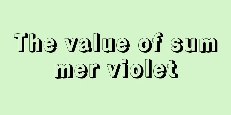 The value of summer violet