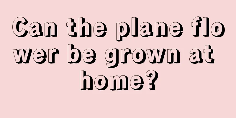 Can the plane flower be grown at home?