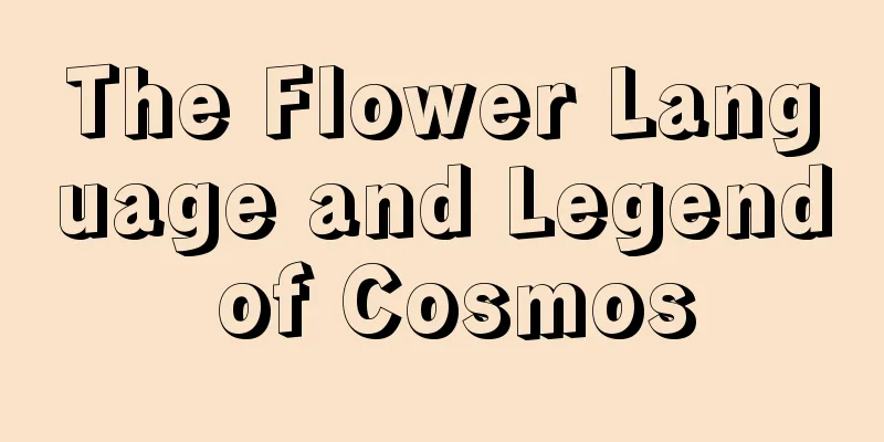 The Flower Language and Legend of Cosmos