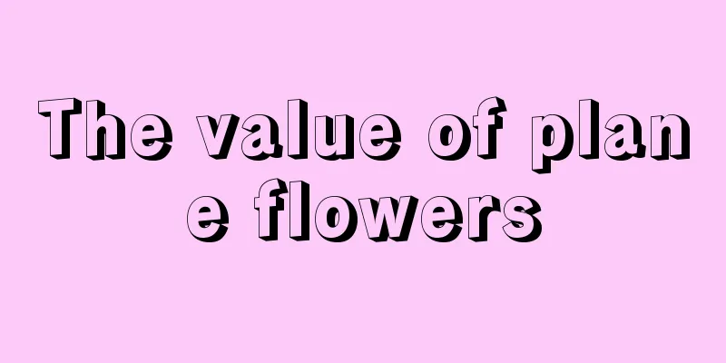 The value of plane flowers