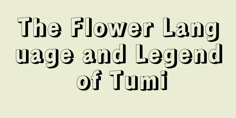 The Flower Language and Legend of Tumi