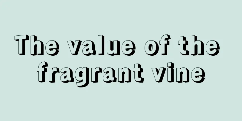 The value of the fragrant vine