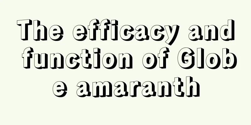 The efficacy and function of Globe amaranth