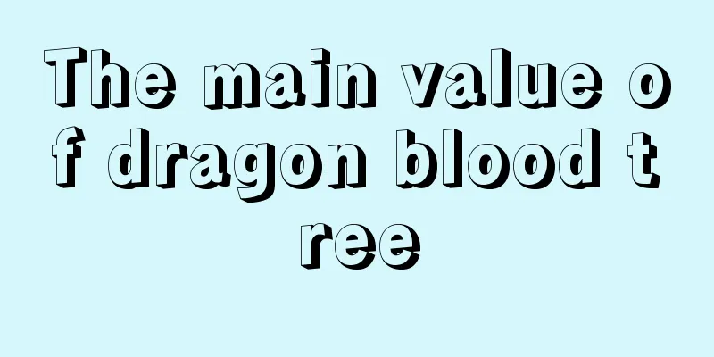 The main value of dragon blood tree