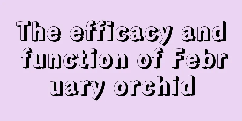 The efficacy and function of February orchid