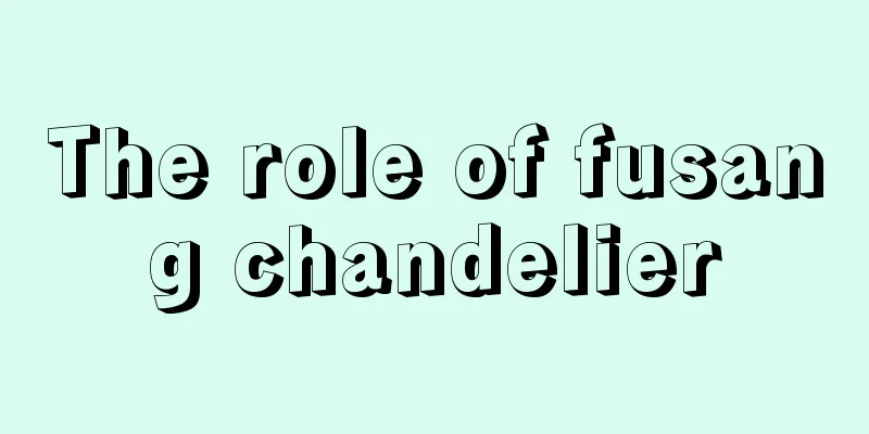 The role of fusang chandelier