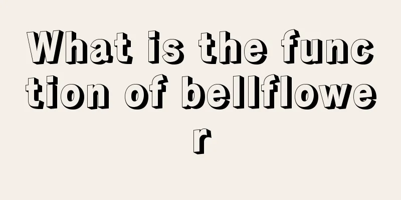 What is the function of bellflower