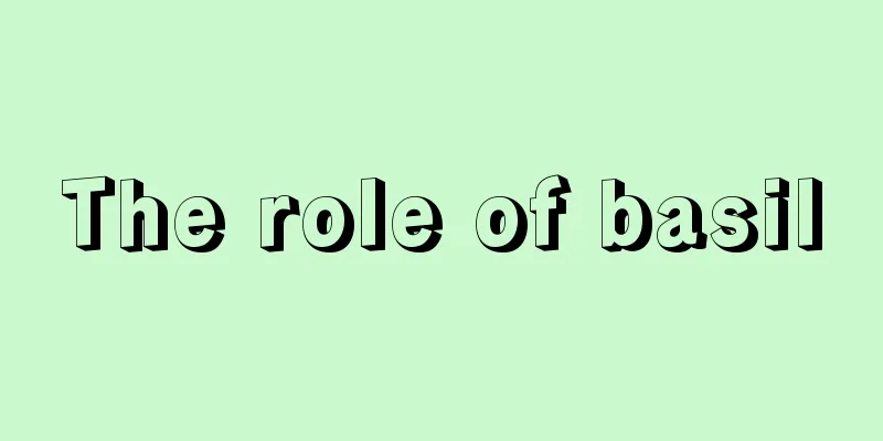 The role of basil