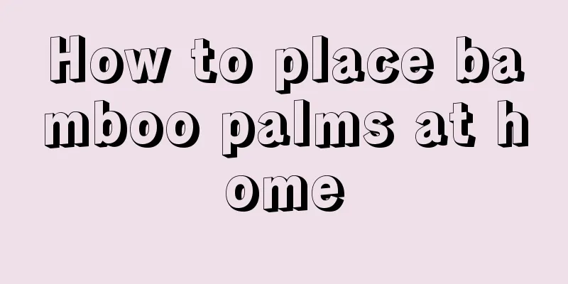 How to place bamboo palms at home