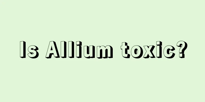 Is Allium toxic?