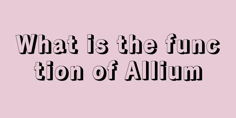 What is the function of Allium