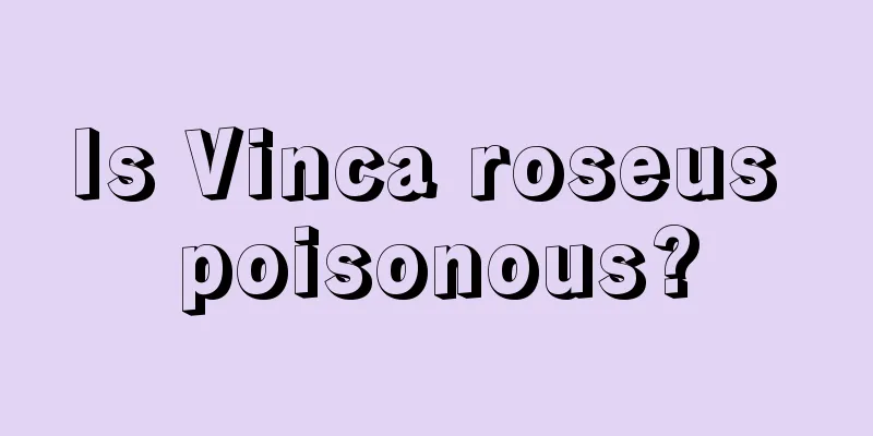 Is Vinca roseus poisonous?