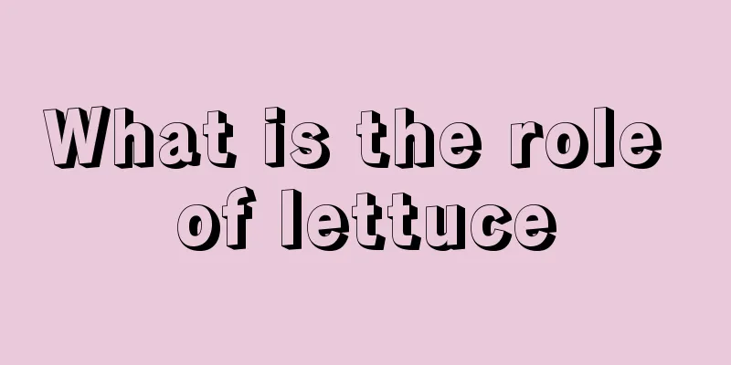 What is the role of lettuce