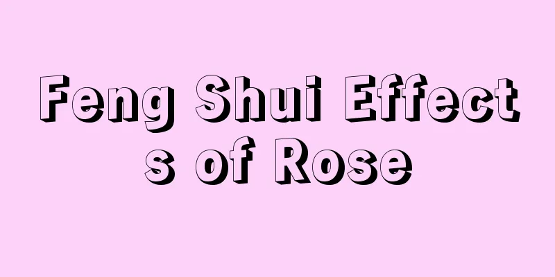 Feng Shui Effects of Rose