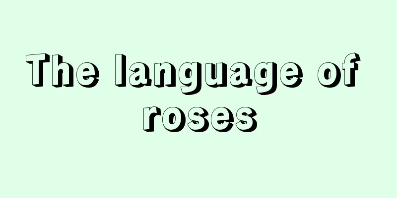 The language of roses