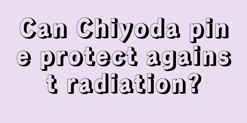 Can Chiyoda pine protect against radiation?