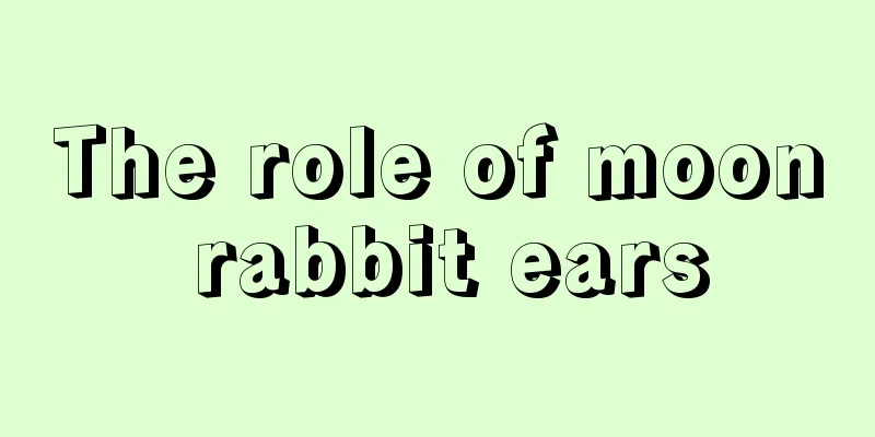 The role of moon rabbit ears