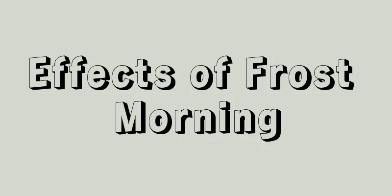 Effects of Frost Morning