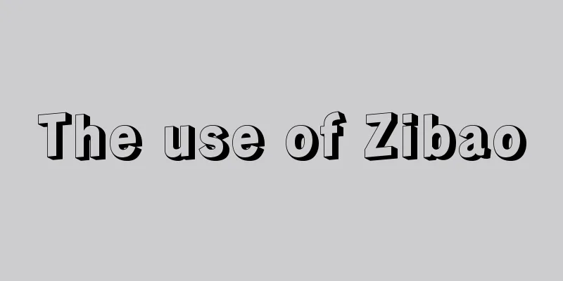 The use of Zibao