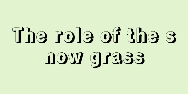 The role of the snow grass