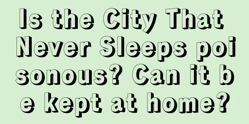 Is the City That Never Sleeps poisonous? Can it be kept at home?