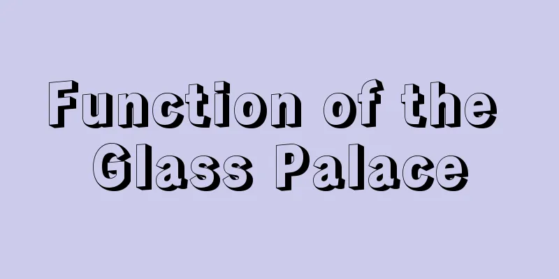 Function of the Glass Palace