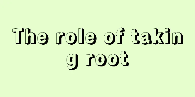 The role of taking root