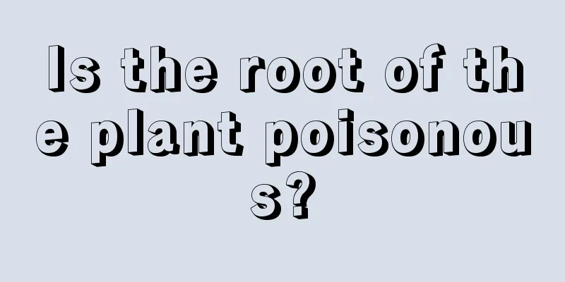 Is the root of the plant poisonous?