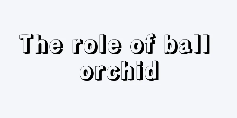 The role of ball orchid