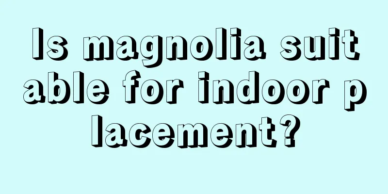 Is magnolia suitable for indoor placement?