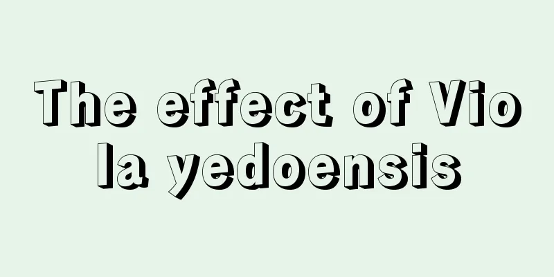 The effect of Viola yedoensis