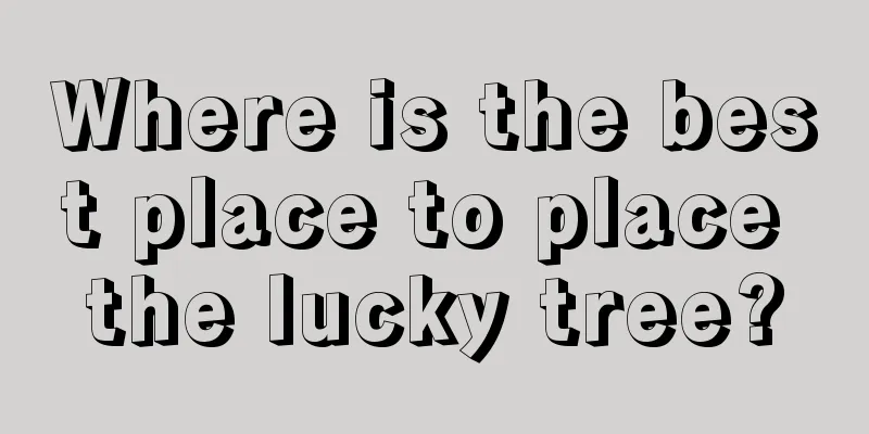 Where is the best place to place the lucky tree?