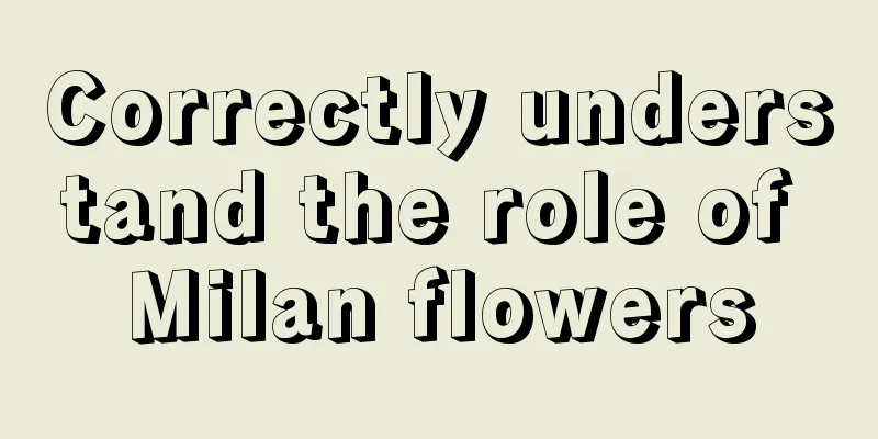 Correctly understand the role of Milan flowers