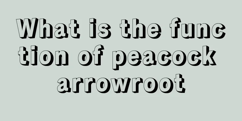 What is the function of peacock arrowroot