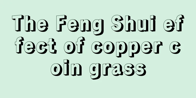 The Feng Shui effect of copper coin grass