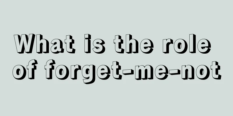 What is the role of forget-me-not