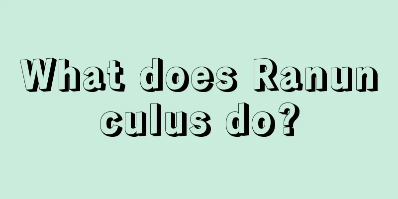 What does Ranunculus do?