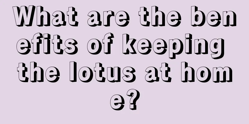 What are the benefits of keeping the lotus at home?