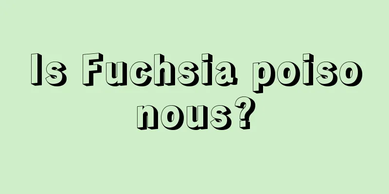 Is Fuchsia poisonous?