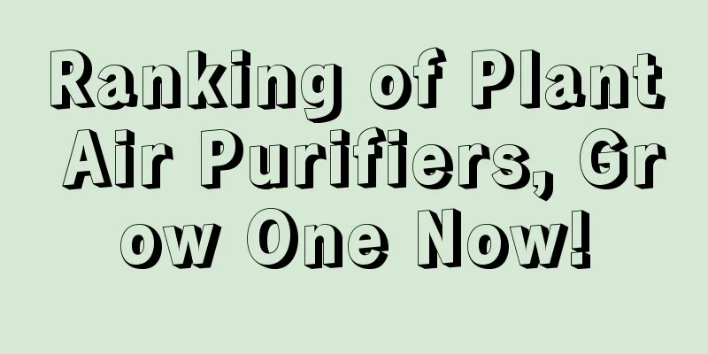 Ranking of Plant Air Purifiers, Grow One Now!