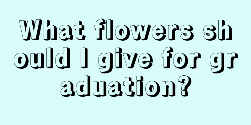 What flowers should I give for graduation?