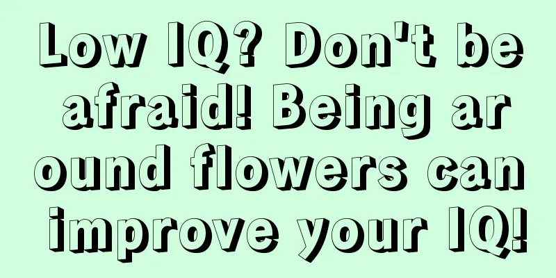 Low IQ? Don't be afraid! Being around flowers can improve your IQ!