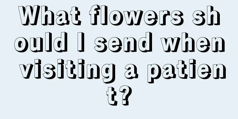 What flowers should I send when visiting a patient?