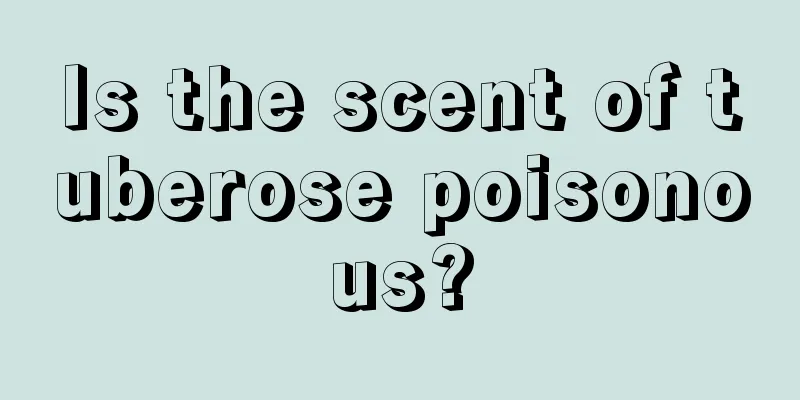 Is the scent of tuberose poisonous?